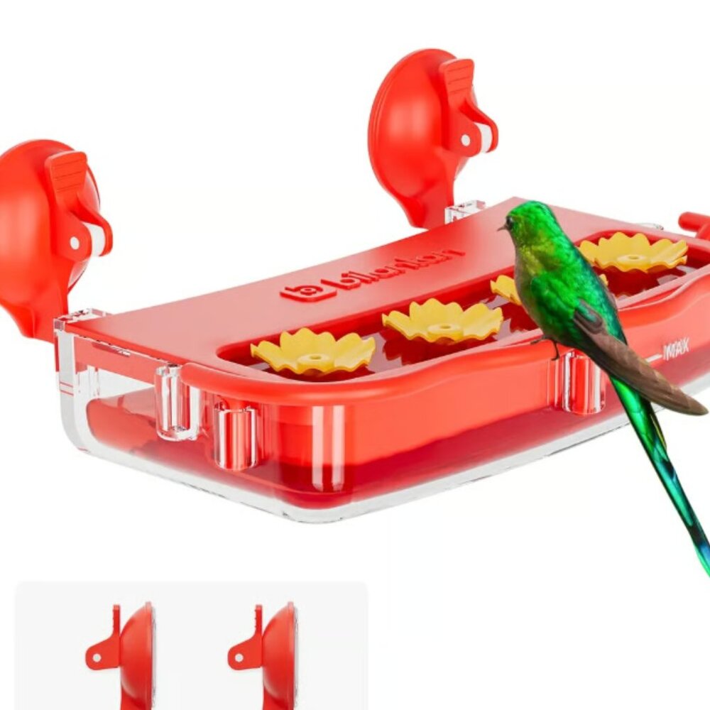 Window Hummingbird Feeder